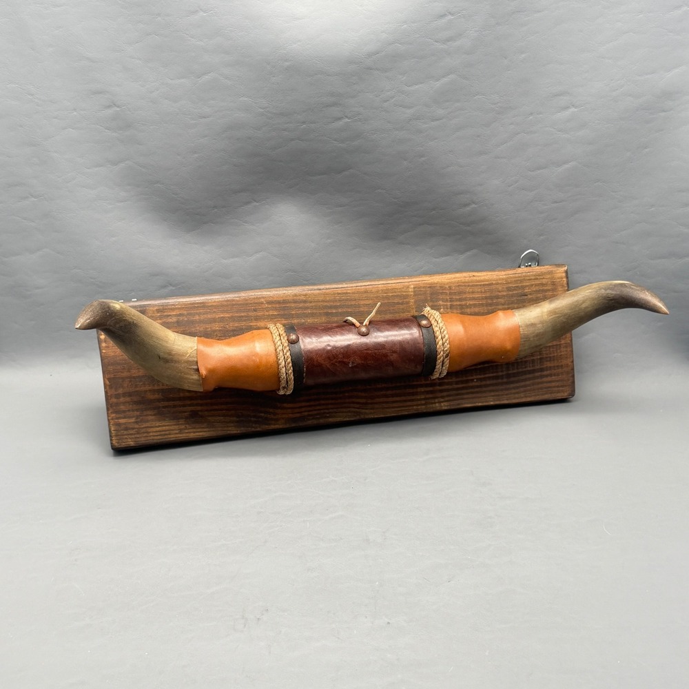 Western Longhorn Wall Decor 20" Horns 19" Mount 6" Wide Rustic Ranch